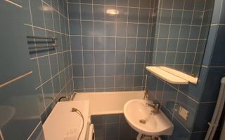 Teiul Doamnei- Apartament 2 camere decomandat | Etaj 10/10 - Poză 8