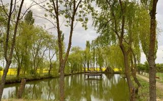 Vila individuala /proiect deosebit - Poză 16