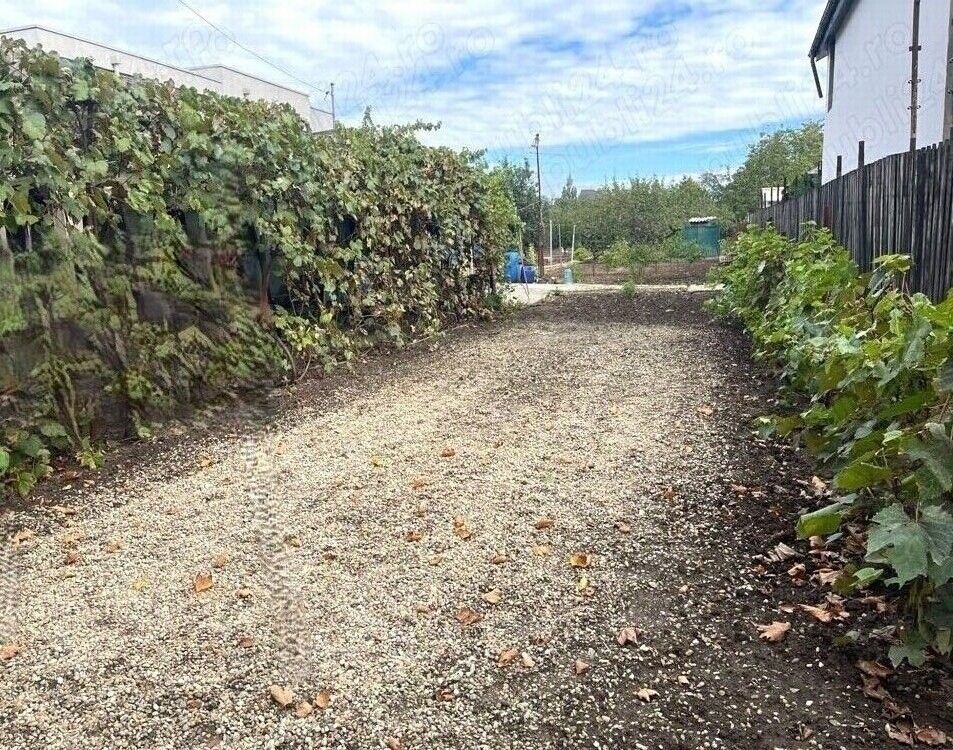 Teren de vanzare | Mogosoaia | 1252 mp - Poză 4