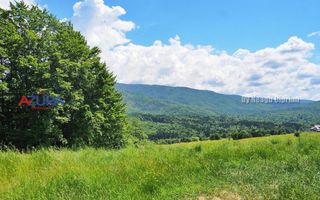 AZURA Imobiliare Pitesti - Casă de vacanță, Nucșoara! - Poză 35