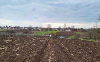 Teren intravilan 5400 mp, Tătăruși, județul Iași – acte la zi - Poză 6