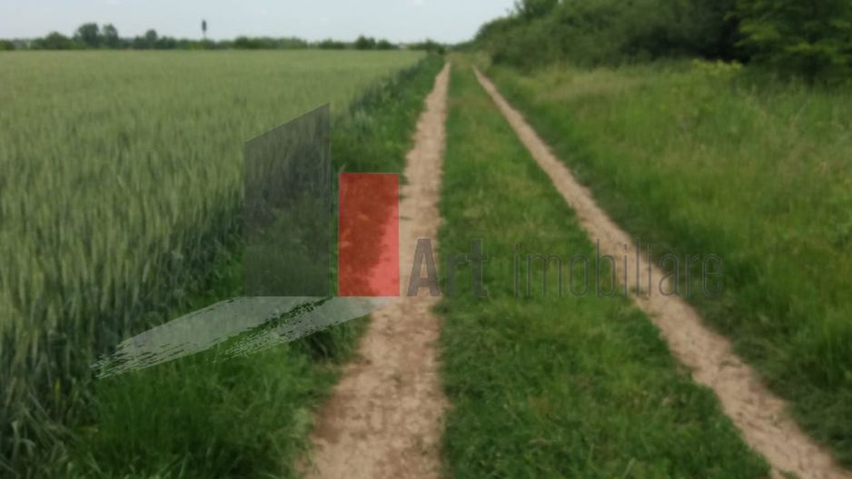 Teren Buftea cu iesire la lac - Poză 4