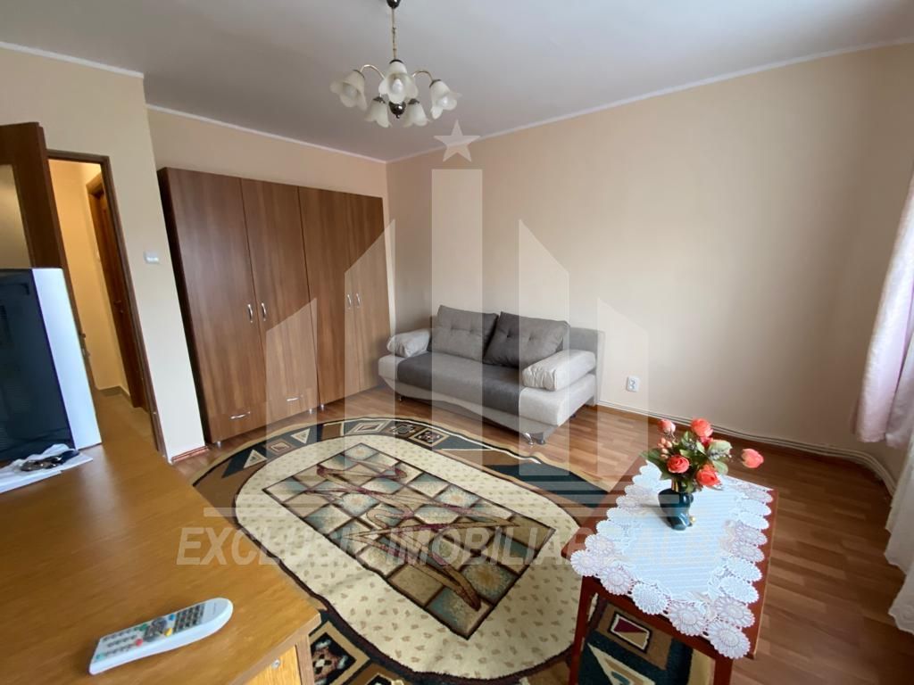 Apartament cu o camera in Cetate - Poză 7