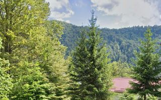 Casa de vacanta la liziera padurii cu vedere libera catre muntii Bucegi - Poză 17