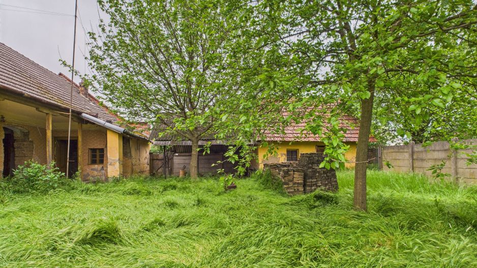 Casă de reabilitat pe teren generos- Comuna Variaș - Poză 10