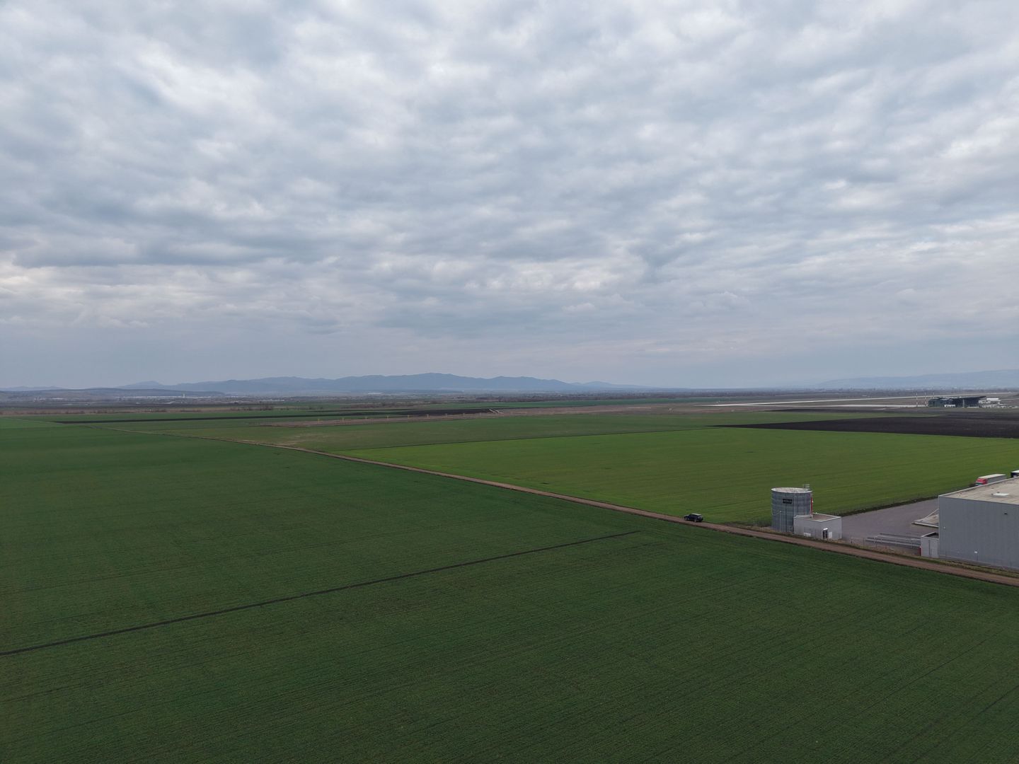 Teren de vânzare – 20.000mp – Ghimbav, lângă Parcul Industrial - Poză 4