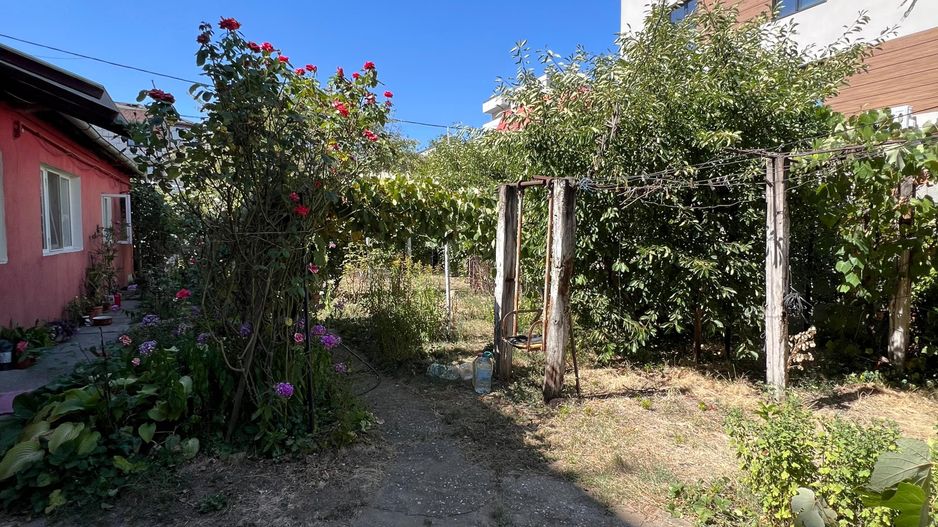 Teren str Renasterii Chitila - Poză 5