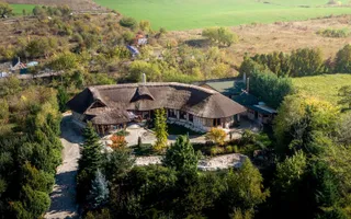De vanzare casa unica pe teren de 3400mp, cu iaz si gradina - Borhanci - Poză 26