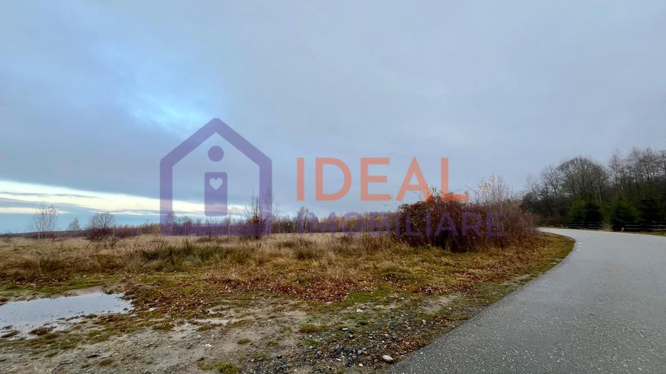Teren extravilan 6.500 mp – două căi de acces, Cârțișoara - Poză 2