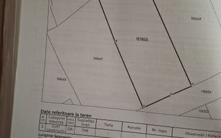 Casa la rosu– teren 706 mp – Gura Raului – vedere panoramica - Poză 8