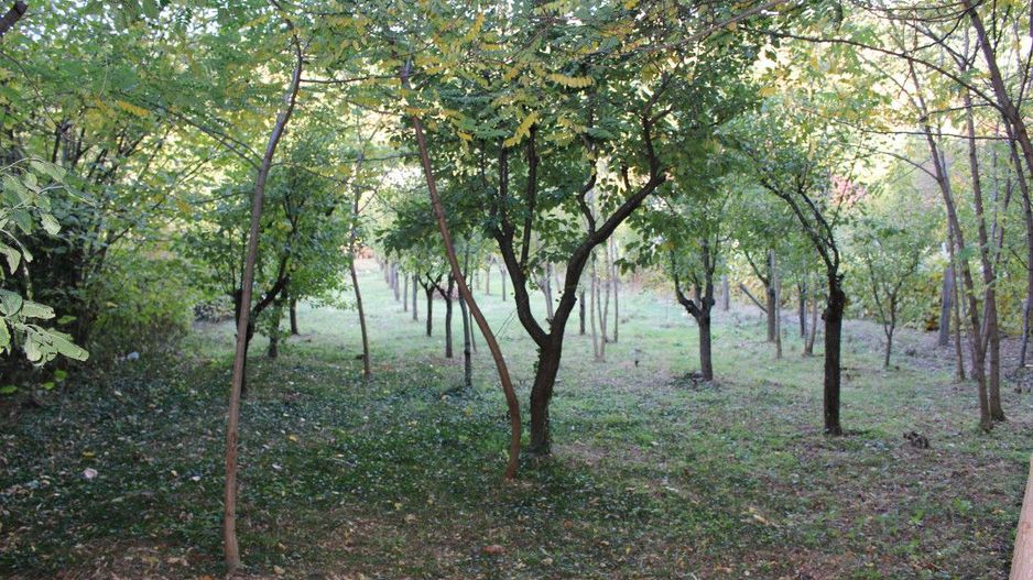 Casă cu suflet și priveliște de poveste – Crasna, Gorj - Poză 32