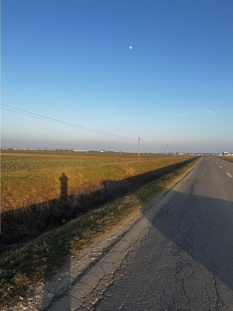 Teren Industrial Oradea spre Livada - Poză 1