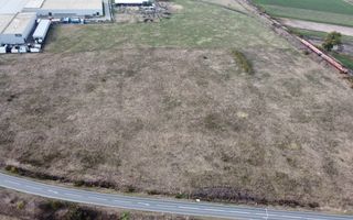 Teren destinatie industriala  Jimbolia - Poză 6