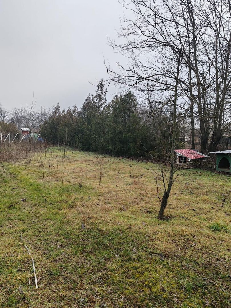 Teren 2.600 mp, utilități, Str. Merișor – Giurgiu - Poză 5