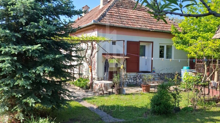 Casă cu două corpuri de clădire și teren generos – sat Boarta, județul Sibiu - Poză 1