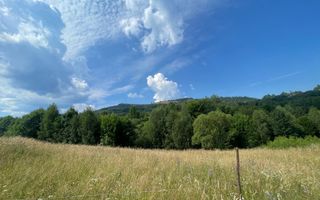 Teren intravilan I Loc deosebit, inconjurat de padure I Vladeasa - Poză 3