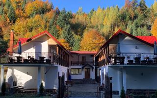 Pensiune I Poalele Munților Făgăraș I Cârțișoara, Sibiu - Poză 7