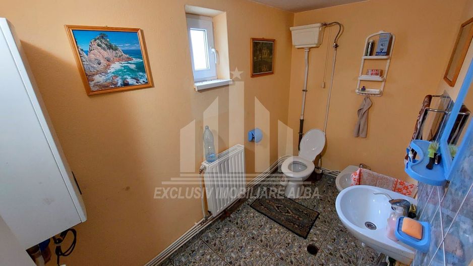 Casa individuala la tara - Poză 5