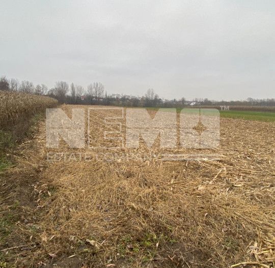 Teren Intravilan | Fratautii Noi | 64 Ari - Poză 1