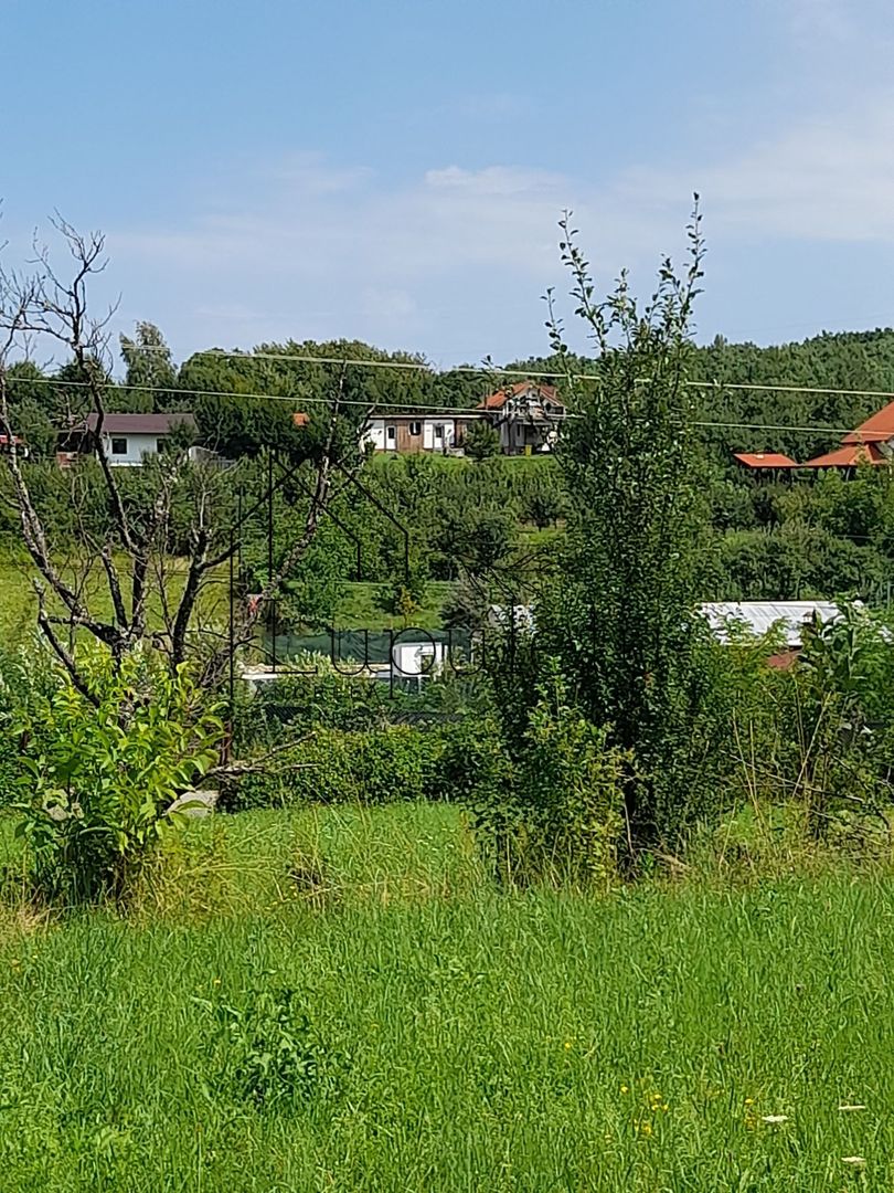 Teren Intravilan | 1500 MPU | Tocile, Comuna Sadu - Poză 2