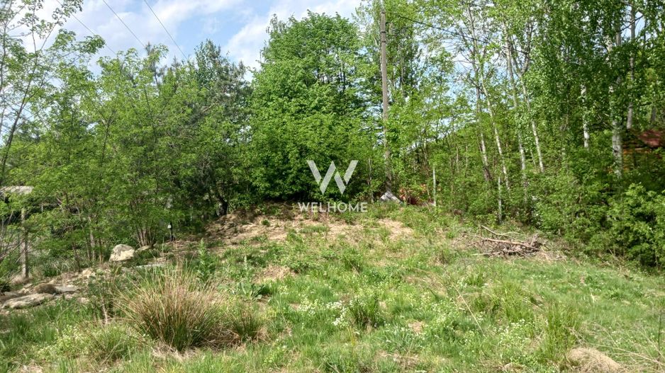 Teren pentru cabana, Marajdie deschidere la rau Gura Raului Sibiu - Poză 6