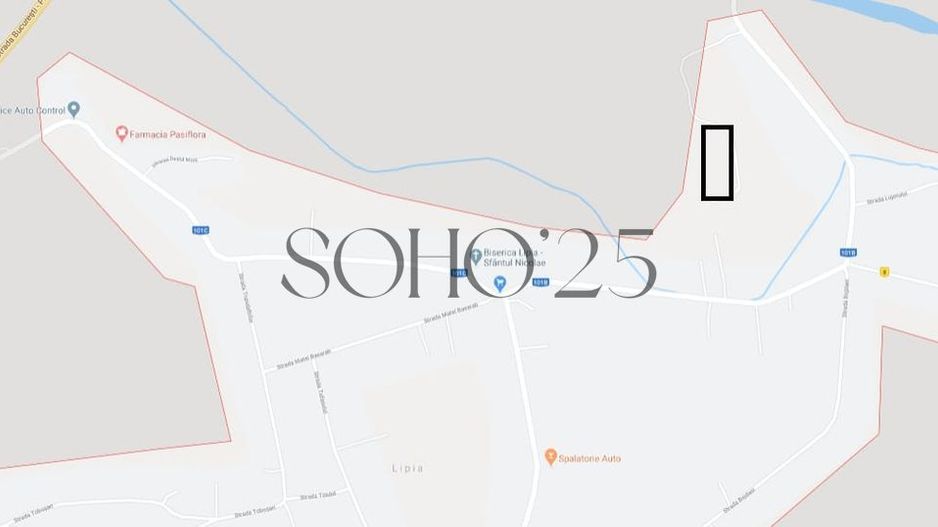 Vand sau schimb cu imobiliare, teren 7400 mp Lipia, Gruiu, Ilfov - Poză 2