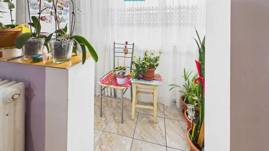 Garsonieră frumoasă în Micalaca - Poză 4