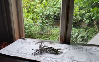 Teren intravilan cal Buziasului, zona mixta UTR M3 - Poză 11