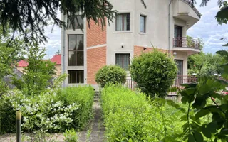 Acasă la Bascov- Județ Arges cu peisaj de poveste - Poză 11