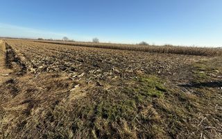 TEREN EXTRAVILAN  51 ARI |  HORODNIC DE JOS  | - Poză 1