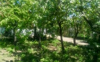 Vila 9 camere***gradina cu pomi fructiferi//1085 mp teren***Dragomiresti-Deal - Poză 15