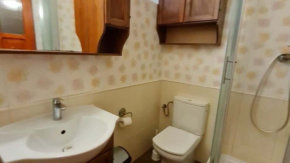 Casa cocheta zona Lipovei - Poză 13