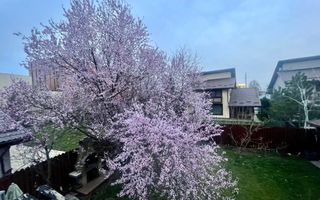 Masterpiece villa*** 6 camere//Independenta energetic//Kaufland Balotesti - Poză 4