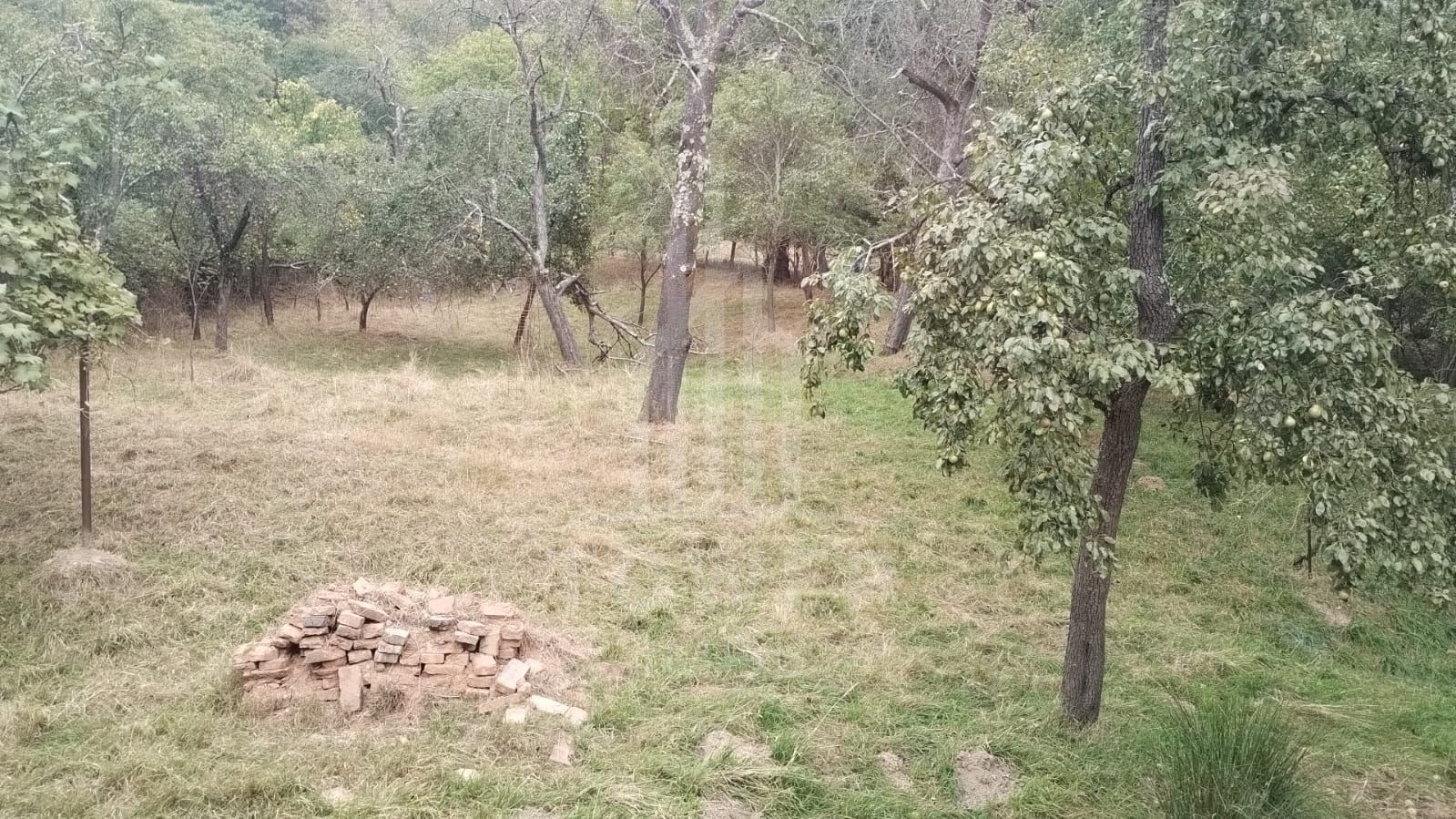 CASĂ DE ÎNCHIRIAT ÎN FÂNTÂNELE (Marginimea Sibiului) - Poză 11
