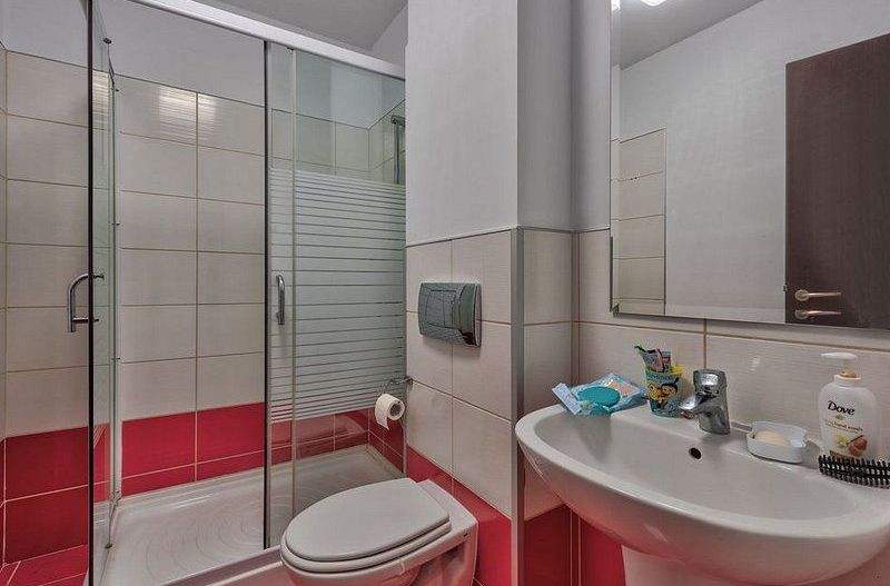 Apartament langa Padurea Baneasa, vis-a-vis de Gradina Zoologica - Poză 8