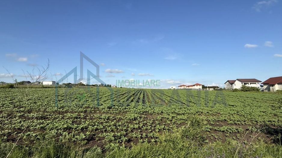 TEREN REDIU 8.445 MP – PLATOUL BELDIMAN–drum comun – dubla deschidere – case sau locuințe colective - Poză 5