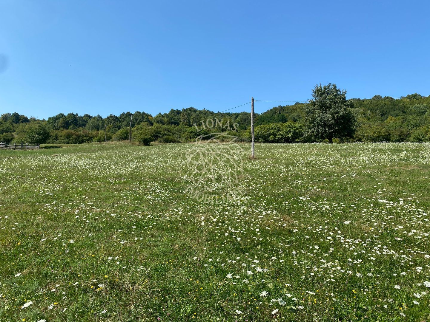 Teren 11.000 mp-ideal cabana/ferma-Unirea-Valea Slatinitei - Poză 1