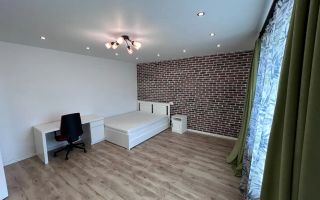 1 camera, Modern, Motilor, UMF, USAMV, Semicentral, Casa de cultura - Poză 3