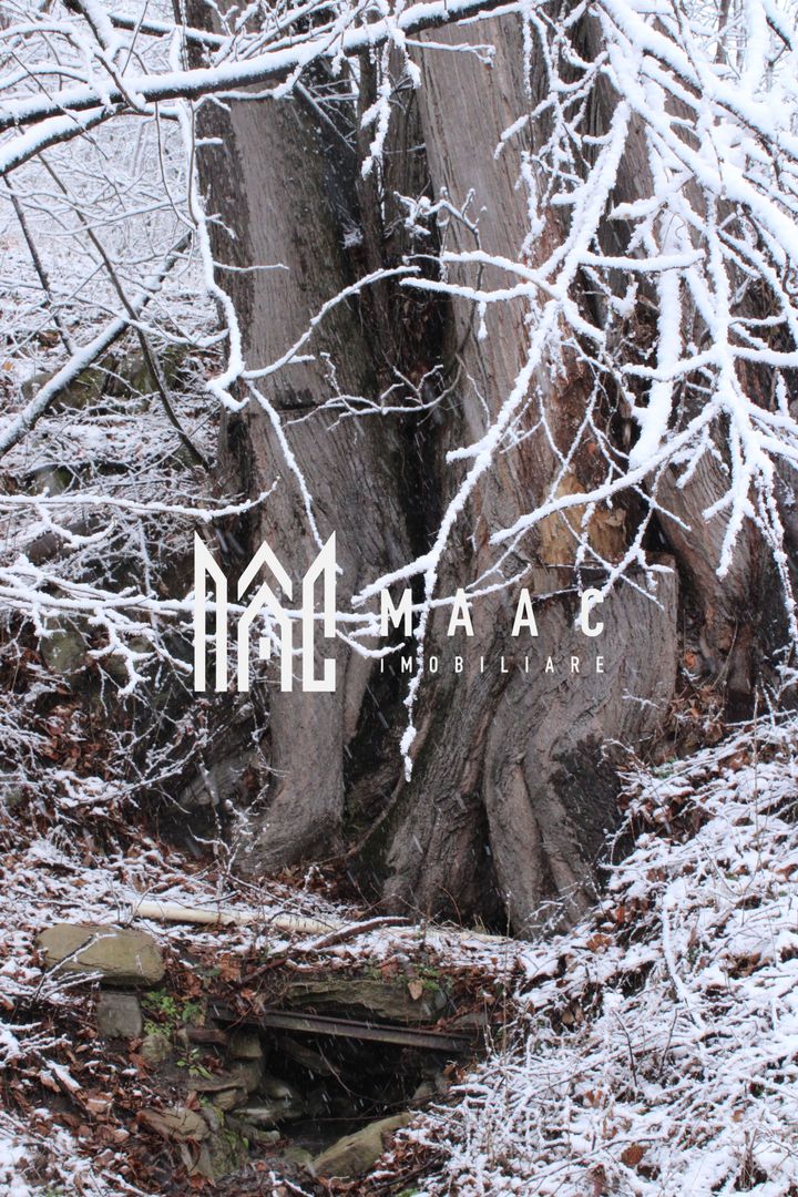 Teren cu izvor de apă minerală  Dangești, Punctul Valea Mare - Poză 27