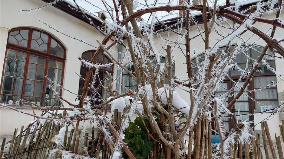 BRASADAS vinde casa 6 cam 220mp 8 ari in zona CENTRALA. - Poză 3