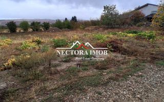 NECTORA IMOB-Teren Intravilan PALEU, 676 mp, Autorizatie Constructie - Poză 5