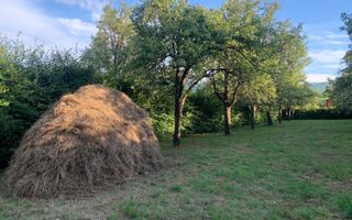 Teren Intravilan - Tropinii Noi - Poză 3
