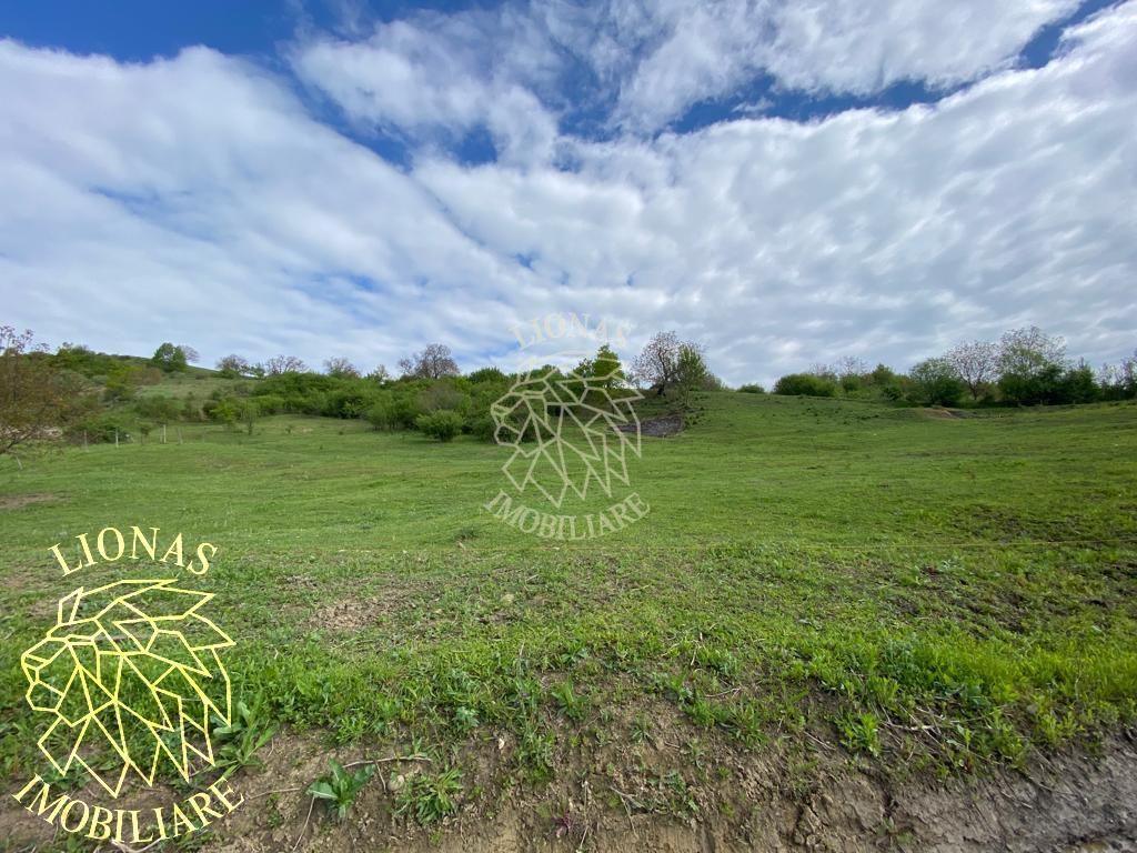 Teren Extravilan - Ghinda - 3.5000mp-Parcelabil - Poză 1