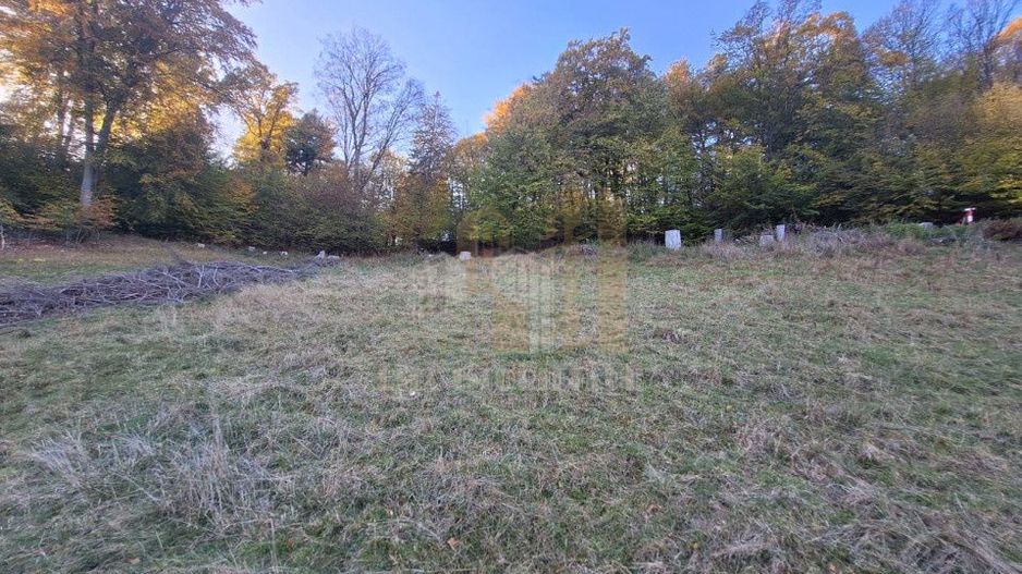 Teren intravilan Brasov Strada Ciresului 2900 mp - Poză 6