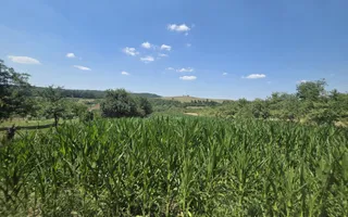 Casa de vânzare cu teren generos | Sumugiu | Bihor - Poză 32
