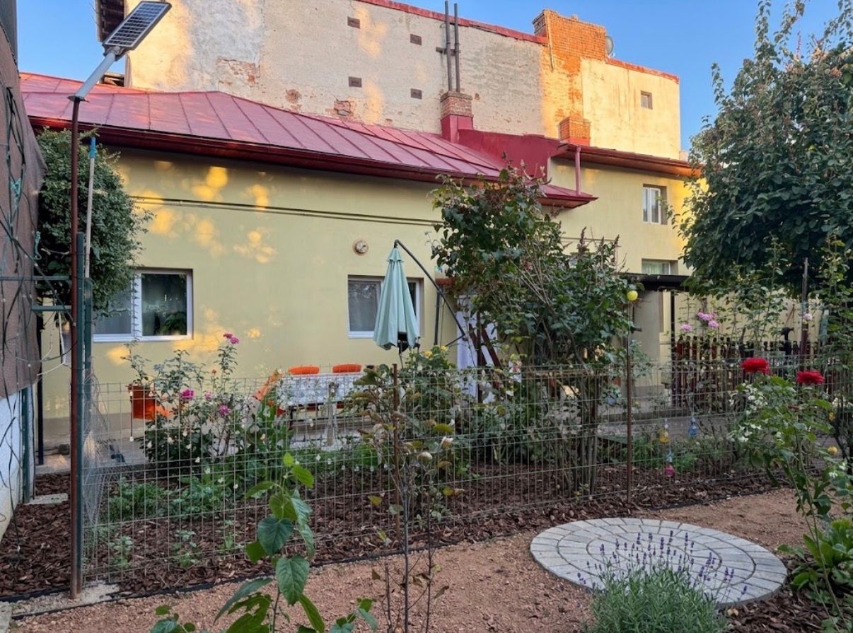 Căsuță interbelică în Cartierul Evreiesc | 225 mp teren | Curte liberă 135 mp - Poză 4
