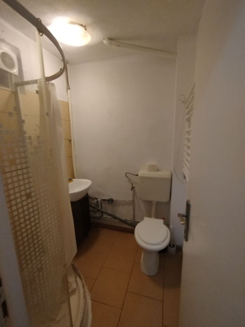 Buziasului | 1 Camera-32 mp | Bucatarie inchisa | Mobilat si utilat - Poză 6