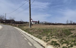 Teren intravilan de vânzare în Tomesti-Goruni – parcele de 700 mp și 3000 mp - Poză 5