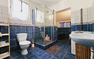 Casa individuala de vanzare, Cetate - Poză 9