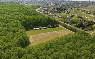EXCLUSIVITATE-PROIECT UNIC PADUREA SNAGOV! Loturi 400-600 m2 ,PUZ - Poză 5
